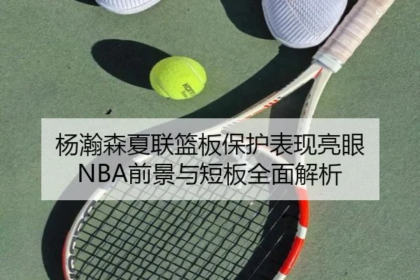杨瀚森夏联篮板保护表现亮眼 NBA前景与短板全面解析